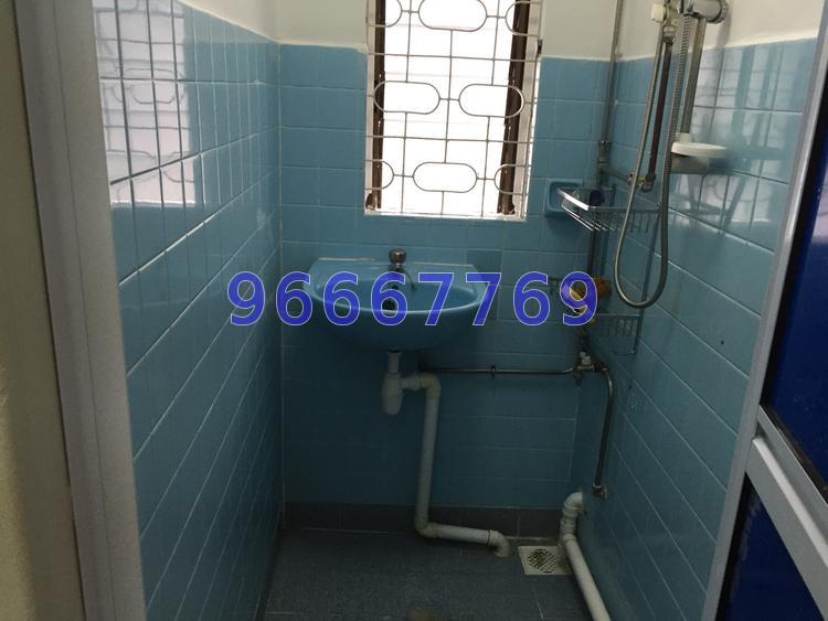 Tiong Bahru Estate (D3), Apartment #65843292